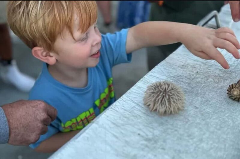 Myrtle Beach: Dolphin & Sealife Cruise, Great For All Ages! - Key Points