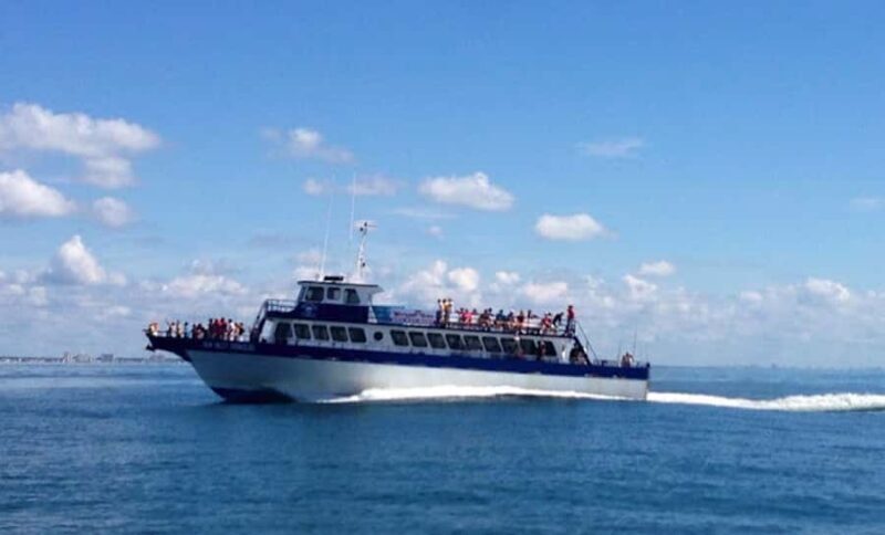 Myrtle Beach: Dolphin & Sealife Cruise, Great For All Ages! - In-Depth Look at the Experience