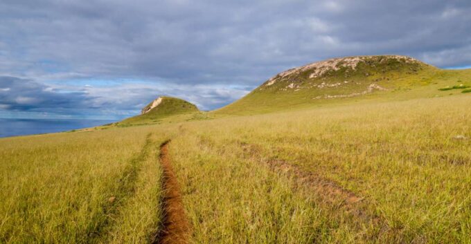 Mystery of the Poike:Walk Through the Most Unknown Rapa Nui - Customer Testimonials