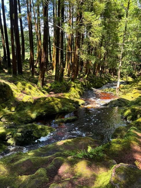 Mystery Tour of Terceira Island - Final Thoughts: Is the Mystery Tour of Terceira Worth It?