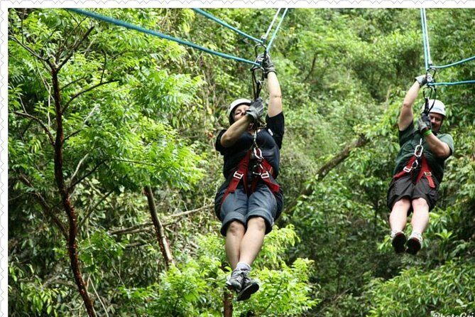 Mystic Mountain Tour from Montego Bay - Exploring the Mystic Mountain Experience