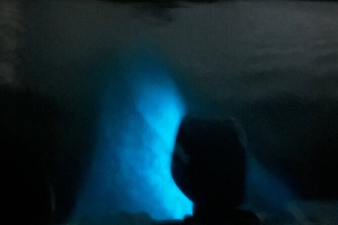 Mystic Waters A Bioluminescent Night Tour - What to Expect from the Mystic Waters Bioluminescent Night Tour