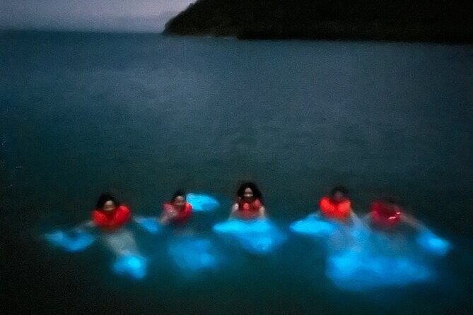 Mystic Waters A Bioluminescent Night Tour - The Experience Breakdown: Step by Step