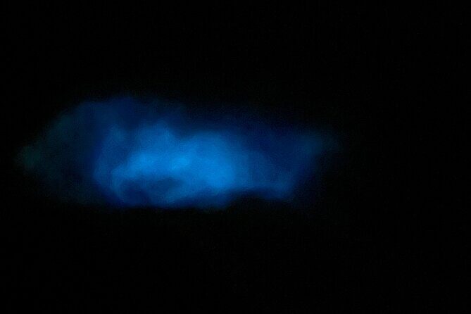 Mystic Waters A Bioluminescent Night Tour - Authenticity and Comfort