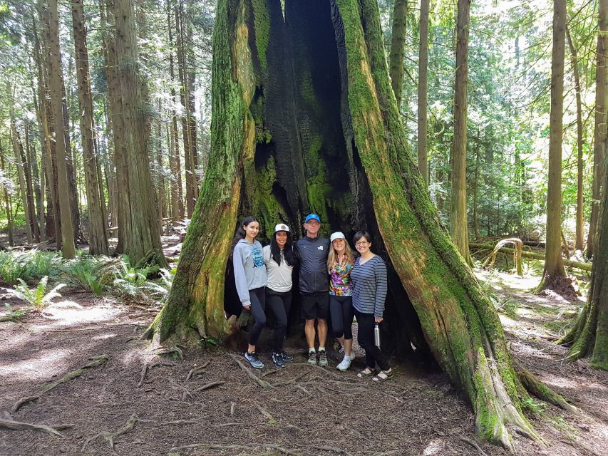 Mystical Rainforest Tour - Forest Magick - Experience Highlights