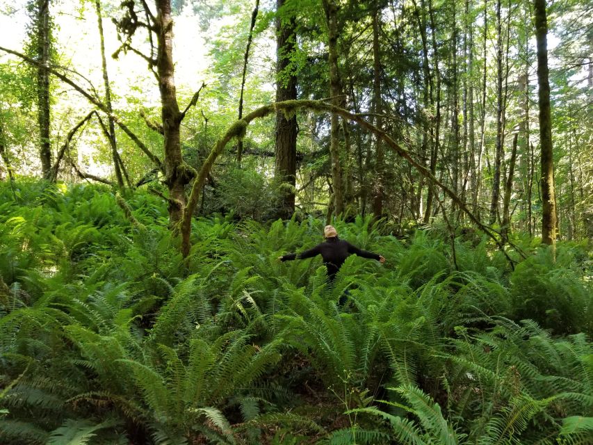 Mystical Rainforest Tour - Forest Magick - Inclusions