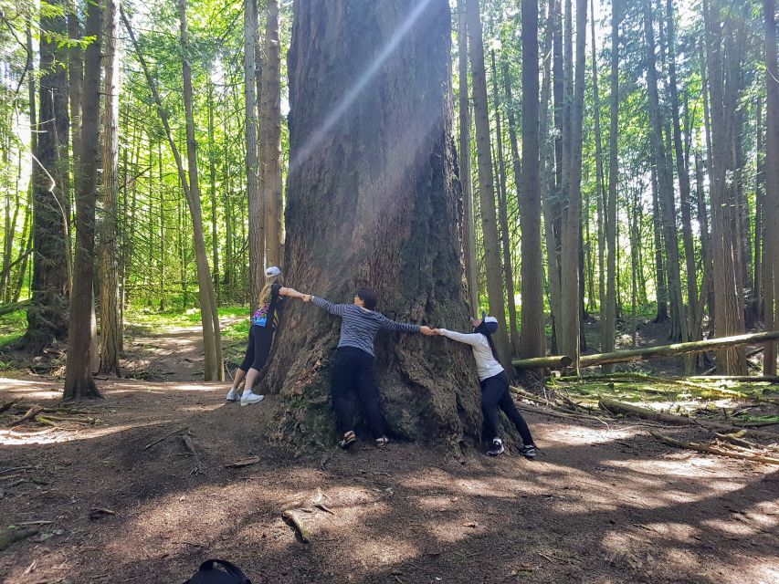 Mystical Rainforest Tour - Forest Magick - Mindfulness Practices