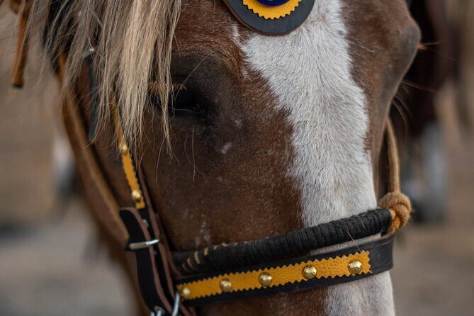 Mystical Sunset Horseback Ride in Meteora: 1-Hour Adventure - FAQ
