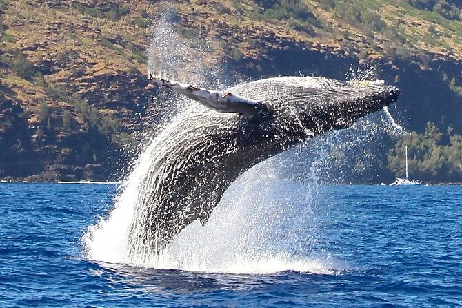 Nā Pali Coast Zodiac Raft Expedition and Snorkeling on Kauai - Included Food and Amenities