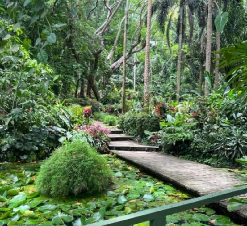 Nadi: Culture, Temples, Markets & Garden Adventure - FAQ