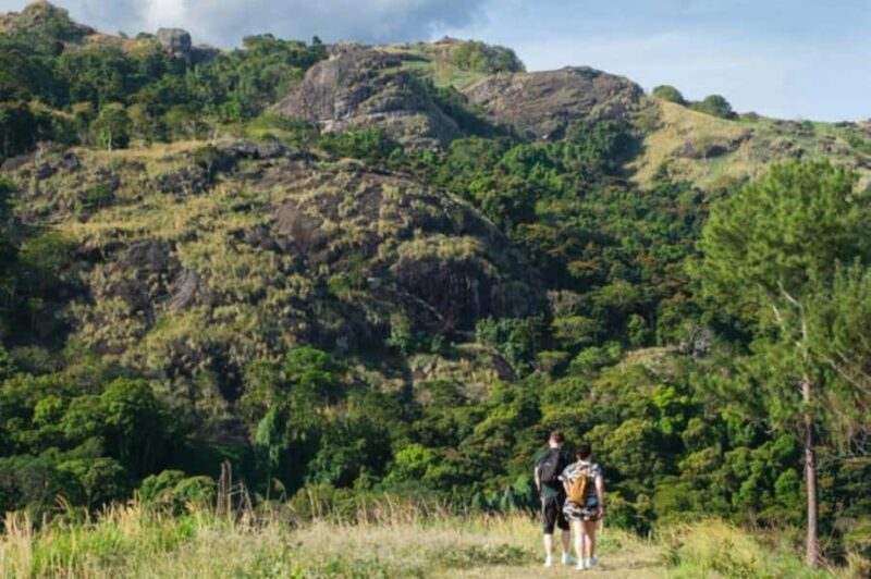 NADI: Exquisite Orchid Garden Tour with Hotspring & Mudpool - Key Points