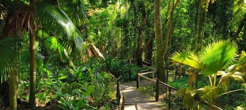 NADI: Exquisite Orchid Garden Tour with Hotspring & Mudpool - An In-Depth Look at the Orchid Garden and Natural Springs Tour