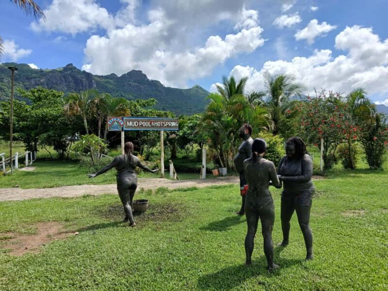 NADI: Exquisite Orchid Garden Tour with Hotspring & Mudpool - Who Should Consider This Tour?