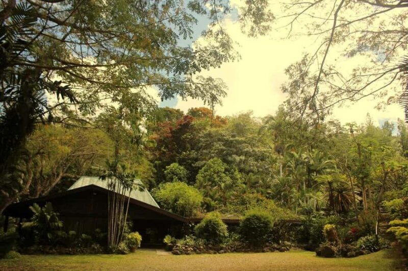 NADI: Exquisite Orchid Garden Tour with Hotspring & Mudpool - FAQs