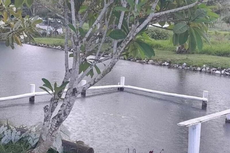 Nadi: Mud Pool and Hot Spring Private Tour - Frequently Asked Questions