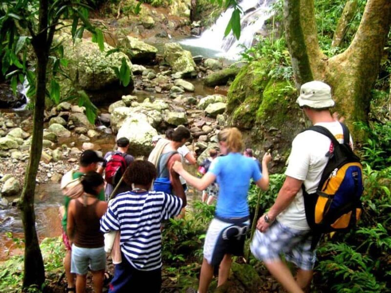 NADI: Nalesutale Village Half Day Tour - Authentic Experiences That Shine