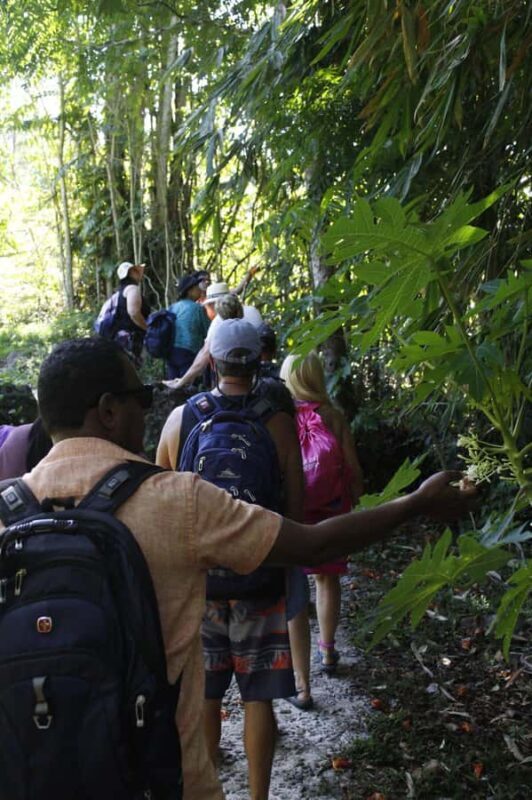 NADI: Nalesutale Village Half Day Tour - Who Will Love This Tour?