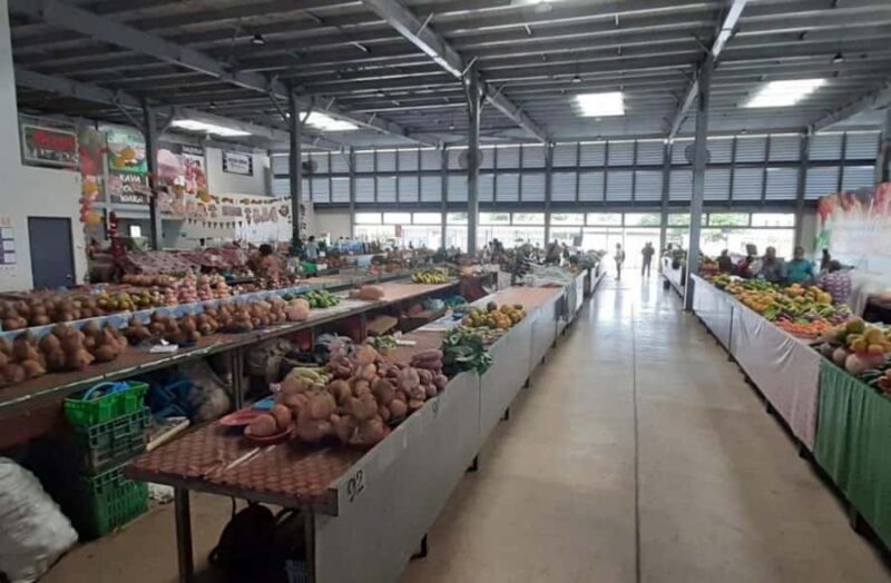 Nadi: Private Tour with Temple, Garden, Markets & Mud Pools - Key Points