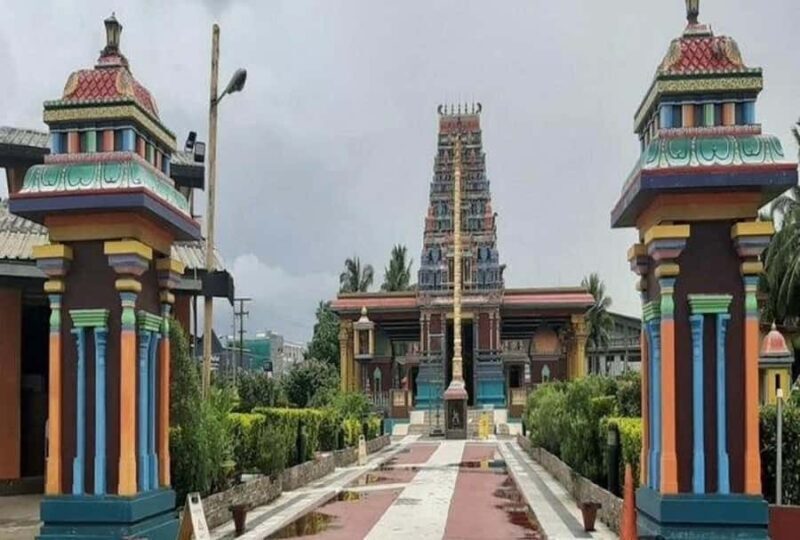 Nadi: Private Tour with Temple, Garden, Markets & Mud Pools - Who Should Consider This Tour?