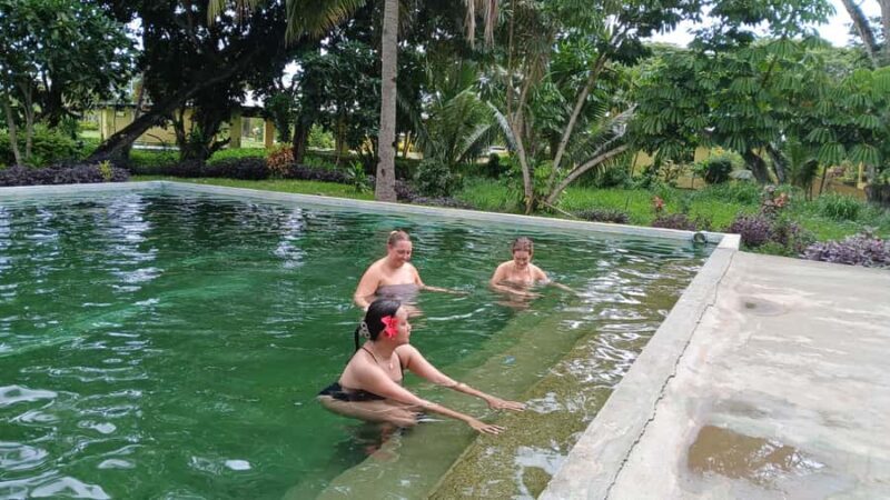 NADI: Sabeto Tifajek Mudpool & Hot Spring Tours & Tickets - Experience the Therapeutic Charm of Fiji’s Sabeto Tifajek Mud Pool & Hot Springs