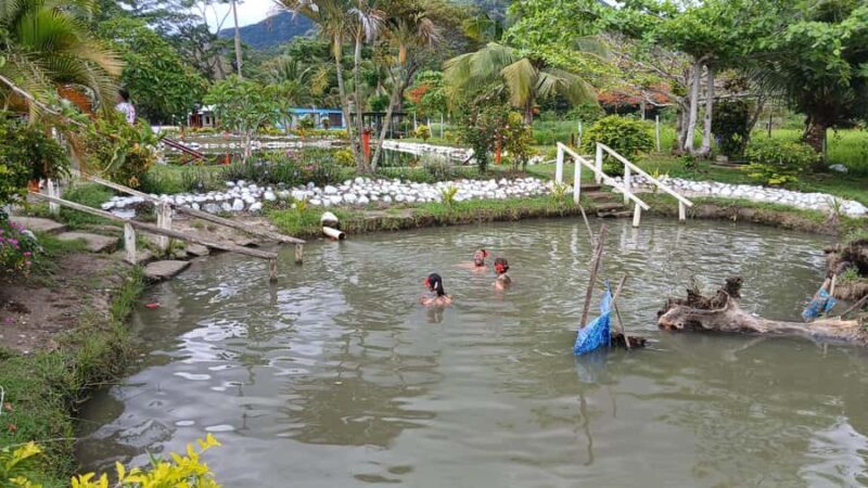 NADI: Sabeto Tifajek Mudpool & Hot Spring Tours & Tickets - Final Thoughts: Who Will Love This Tour?