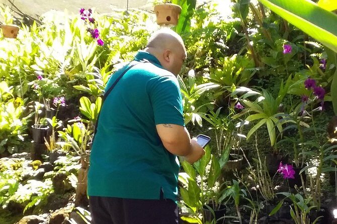 Nadi Sightseeing Including Viseisei Lookout, Village Tour, Garden & Temple Tour - Transportation and Group Size