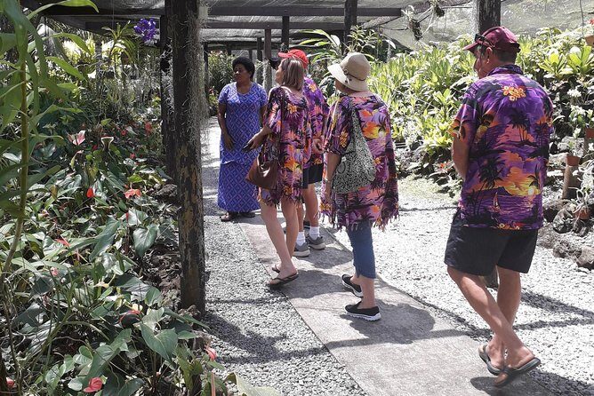 Nadi Sightseeing & Mud Pool Tour - Key Points