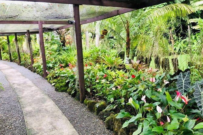 Nadi Sightseeing & Mud Pool Tour - Ex Fiji Marriott, Momi Bay - The Sum Up