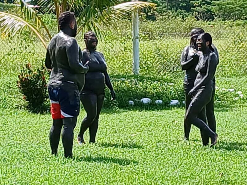 NADI: Tifajek Mud Pool and Hot Spring Natural Spa Tour - The Optional Fijian Massage