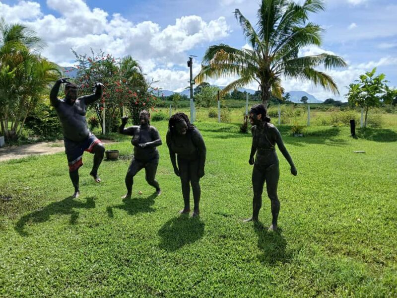 NADI: Tifajek Mud Pool and Hot Spring Natural Spa Tour - Is It Worth the Cost?