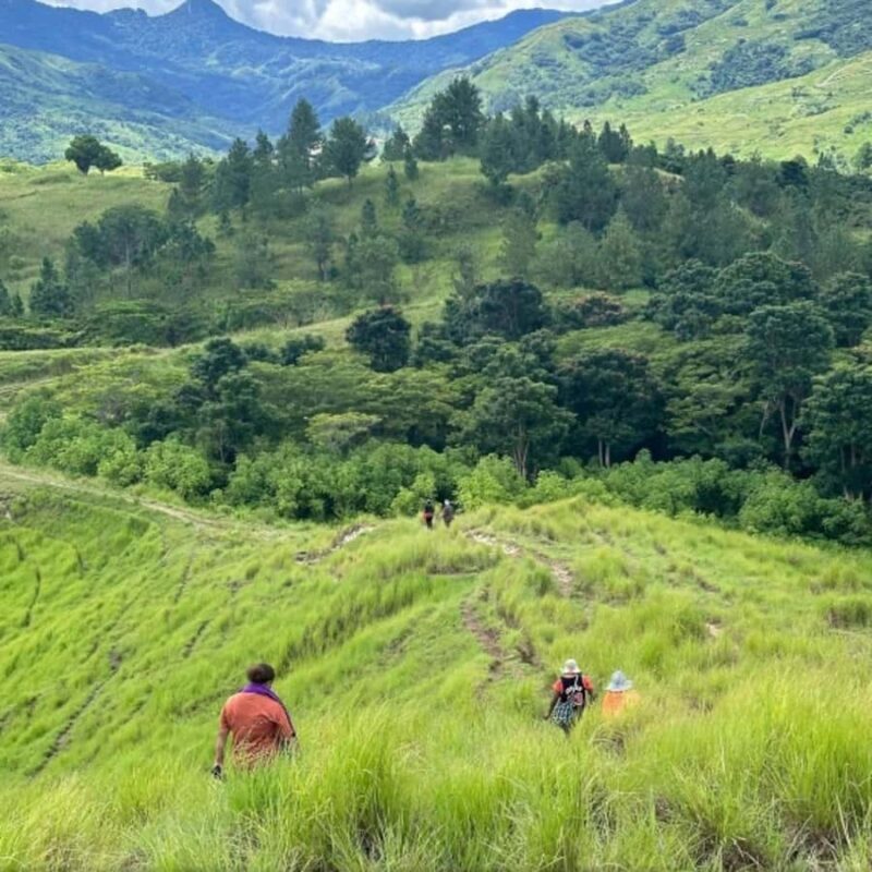 Nadi: Waterfall Tour Adventure with Refreshments and Lunch - Final Thoughts: Is This Tour Right for You?