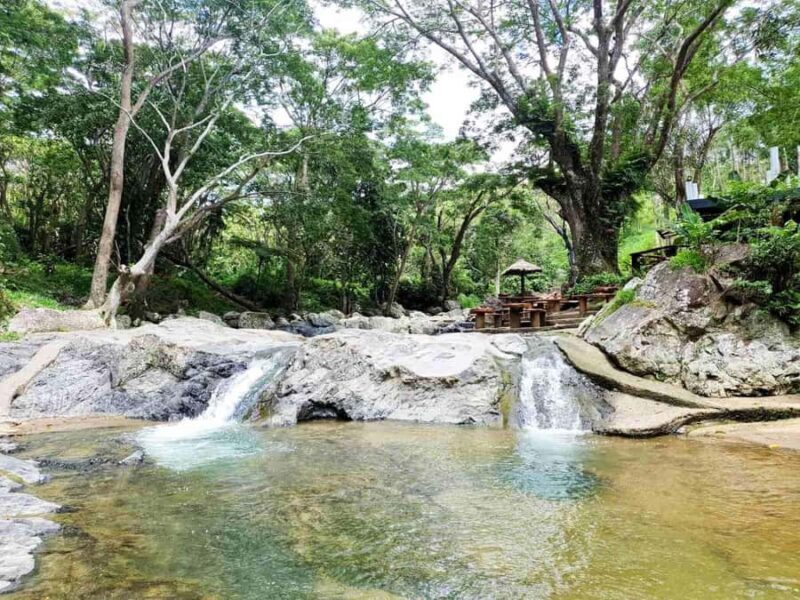 Nadi: Zipline, Waterfalls, and Jungle Safari Tour with Lunch - An In-Depth Look at the Tour