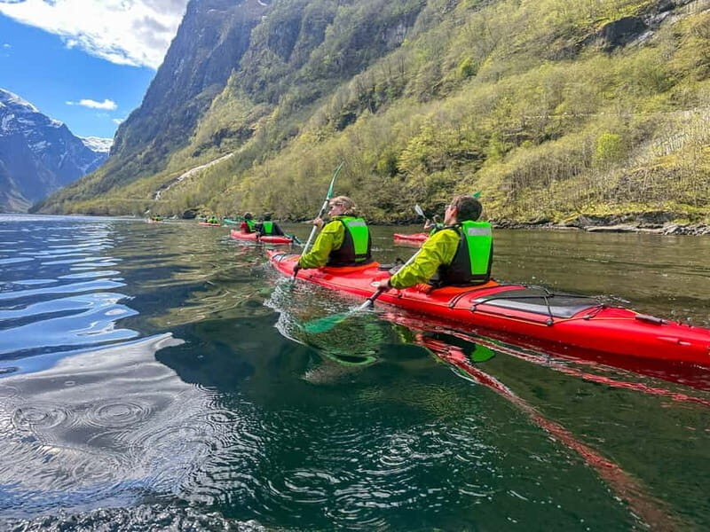 Nærøyfjord Full-Day Guided Kayaking Trip - Who Will Love This Trip?