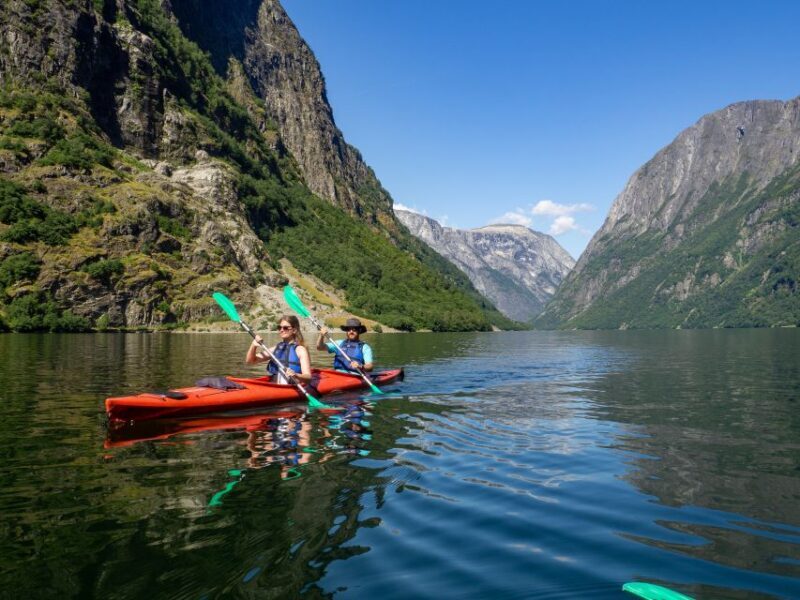 Nærøyfjord Full-Day Guided Kayaking Trip - Authentic Moments and Traveler Feedback