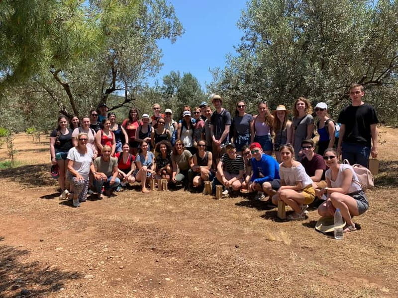 Nafplio: Olive Oil Estate Tour and Tasting - In The Sum Up