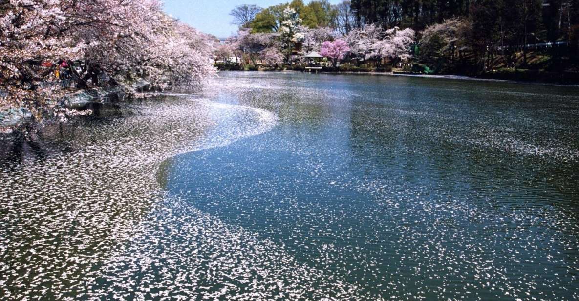 Nagano: 1-Day Snow Monkey & Cherry Blossom Tour in Spring - Visiting the Snow Monkeys