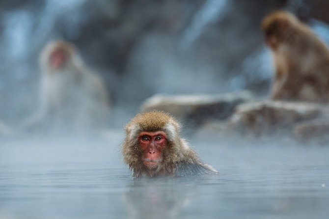 Nagano Private Two Day Tour - Highlights of Day 1