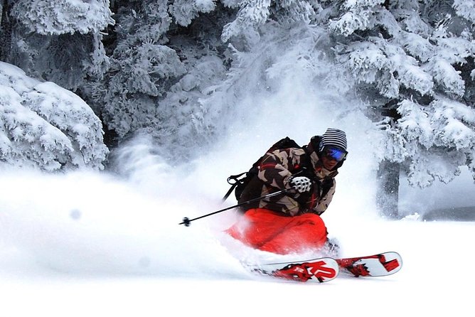 Nagano Ski Buffet - Diverse Culinary Experiences
