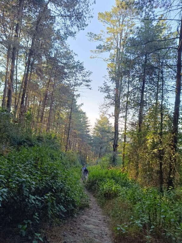 Nagarkot Sunrise Changunarayan Hike , With Bhaktapur Tour; - FAQ