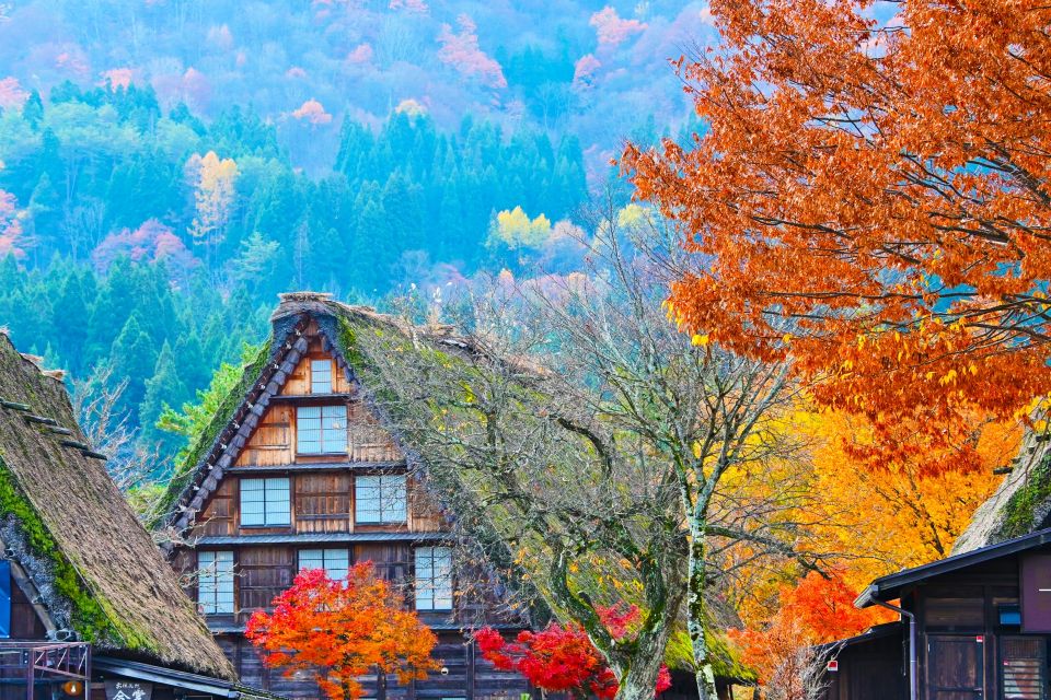 Nagoya: Hida Takayama & World Heritage Shirakawa-go Day Tour - Lunch at Koshiyama