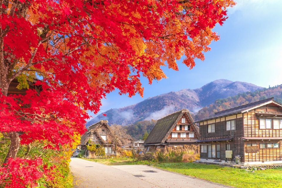 Nagoya: Shirakawa-go Village and Takayama UNESCO 1-Day Trip - Important Considerations