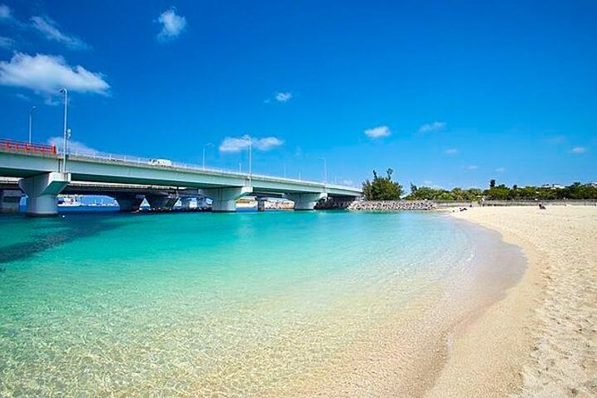 Naha Full-Day Private Tour With Government Licensed Guide - Tour Ratings