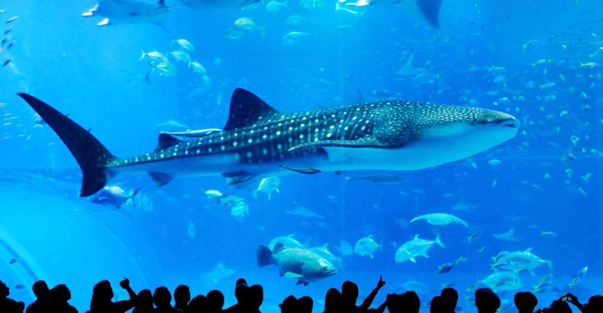 Naha: North Okinawa Sightseeing Tour & Churaumi Aquarium - Included Features