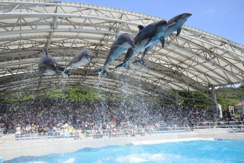Naha: North Okinawa Sightseeing Tour & Churaumi Aquarium - Kouri Island and Beach