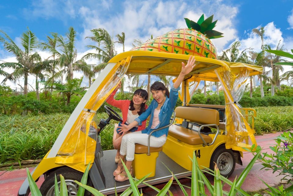Naha: North Okinawa Sightseeing Tour & Churaumi Aquarium - Tour Details and Logistics