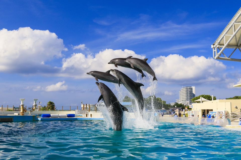 Naha: North Okinawa Sightseeing Tour & Churaumi Aquarium - Frequently Asked Questions