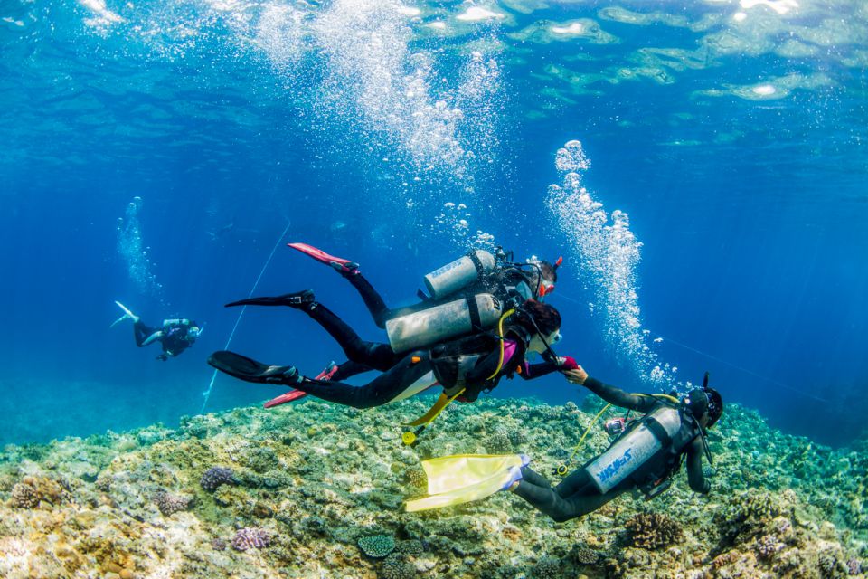 Naha, Okinawa: Kerama Islands Full-Day Intro-Diving Trip - Frequently Asked Questions