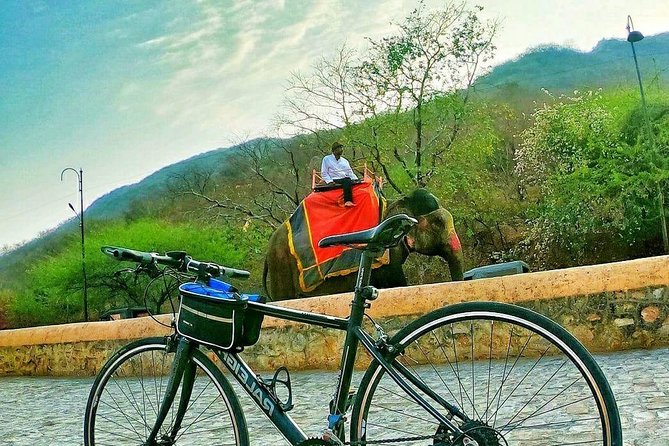 Nahargarh Cycle Tour in Jaipur - Pricing and Availability
