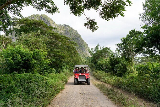Naihehe Cave Safari in Sigatoka with BBQ Lunch - What Makes this Tour Stand Out?  