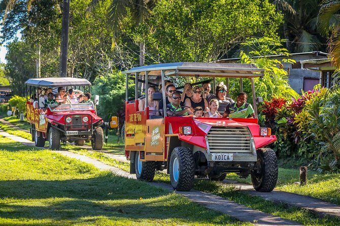 Naihehe Cave Safari in Sigatoka with BBQ Lunch - Final Thoughts  